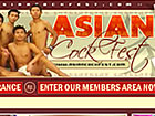 Asian Cock Fest